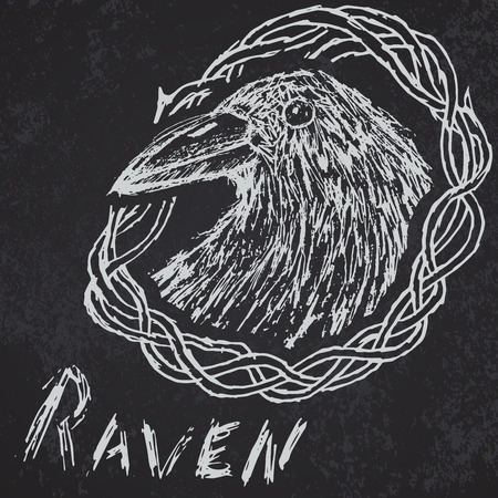 Crow raven handdrawn sketch in blackthorn on blackboard.のイラスト素材