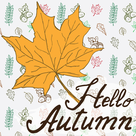 Hello autumn. Autumn season Vector Hand drawn background with autumn leaf and Lettering. Drawing doodle leevs collection.のイラスト素材