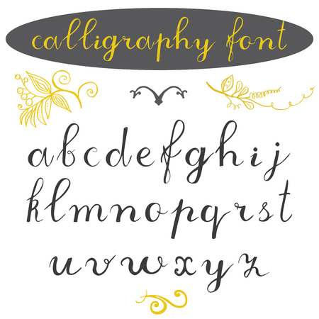 Alphabet letters lowercase, hand drawn calligraphy font. Vector alphabet. Hand written letters of the alphabet and decoration elements on grungy backgroundのイラスト素材