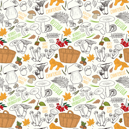 Mushroom hand drawn sketch Seamless Pattern. Vector Illustrationのイラスト素材