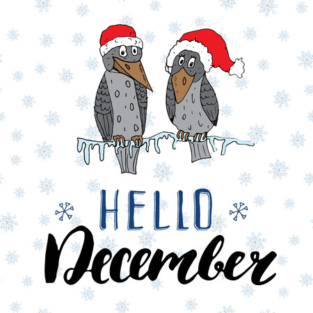 Winter season lettering quote hello december. Hand drawn doodle birds on frozen tree branch in traditional red hats.のイラスト素材
