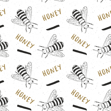 Bee hand drawn seamless pattern, with word honey vector illustration.のイラスト素材