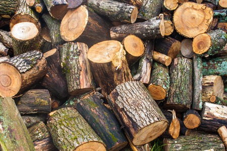 Woodpile of chopped lumber. Pile of wood logs. Stacked firewood timber.