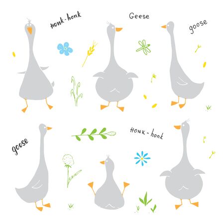 Goose Doodles Set. Cute Geese sketch. Hand drawn Cartoon Vector illustration on white background .のイラスト素材