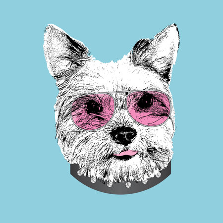 Yorkshire Terrier portrait, Cute cool dog in glasses, Vector illustration.のイラスト素材