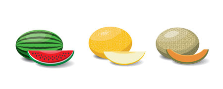Fruit cartoon set. Vegan organic eco products collection. vector illustration.のイラスト素材