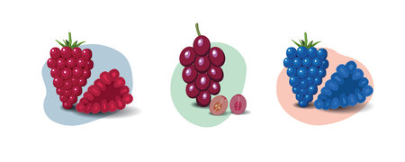 Fruit cartoon set. Vegan organic eco products collection. vector illustration.のイラスト素材