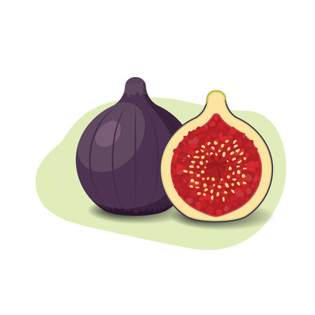 Figue cartoon fruit. Vegan organic eco product. vector illustration.のイラスト素材