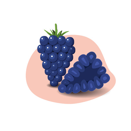 Blackberry cartoon fruit. Vegan organic eco product. vector illustration.のイラスト素材