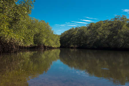 Guanacaste Province, Costa Rica. River mouth near a mangrove on a beach in the dry tropics