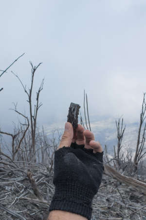 dirt road through dead forest with trees burned and dried by acid rains in the vicinity of the Turrialba volcano on a cloudy day, Cartago, Costa Rica.の写真素材