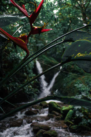 Vertical shot of country house in the middle of a landscape with green mountains on a cloudy day. Puntareanas, Costa Rica.の写真素材