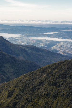 wetlands and peatlands surrounded by vegetation in the paramo in Chirripo National Park