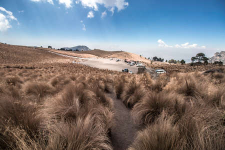 Woman mountaineer walking alone along a path full of grass surrounded by landscape with mountains with in Paso de CortÃ©s in Mexicoの写真素材