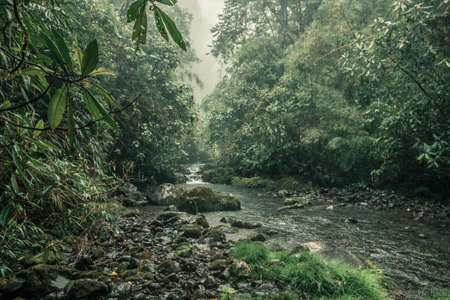 waterfall in the middle of the green vegetation of the tropical jungle of Costa Rica