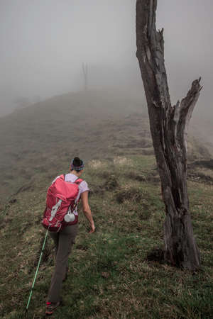 group of hikers walking next to a dead tree on a beautiful day in the mountains of Costa Rica.の写真素材