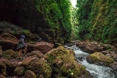 vertical shot walking along a riverbed surrounded by vegetation in the middle of the humid tropical...