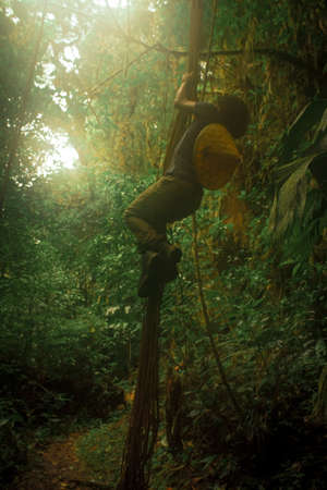 wooden bridge in the middle of the mountain and tropical jungle