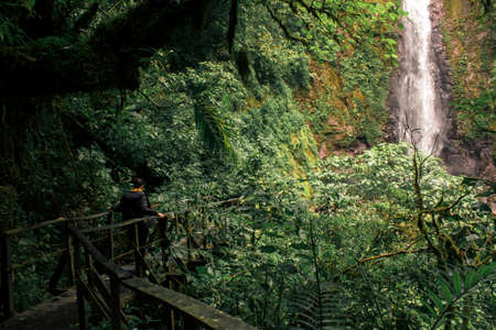 wooden bridge in the middle of the mountain and tropical jungle