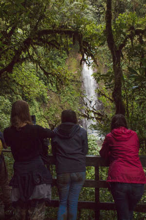 wooden bridge in the middle of the mountain and tropical jungle