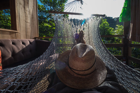 vertical shot of rural landscape with trees and a plant on the mountainの写真素材