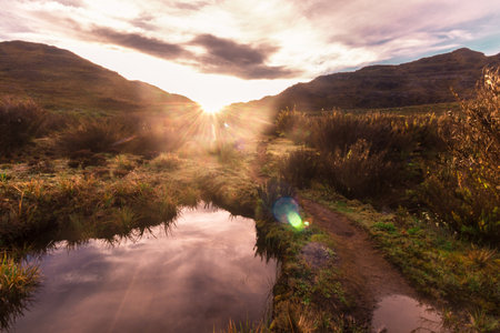 a peat bog in the middle of the paramo in a sunrise in the Chirripo National Park in Costa Ricaの写真素材