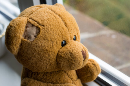 Teddy bearの写真素材