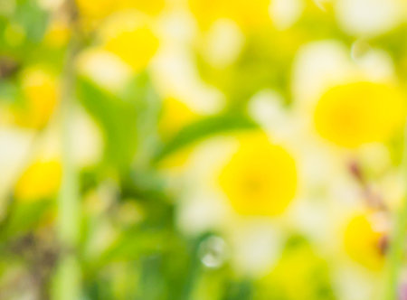 abstractの写真素材