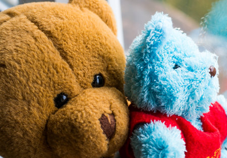 Teddy bear with friendの写真素材