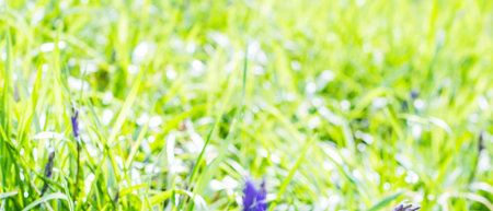 Abstractの写真素材