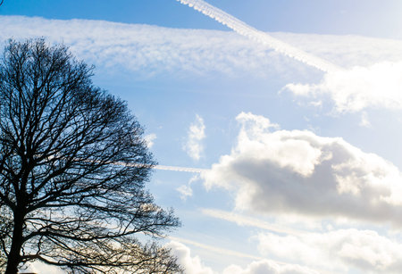 Blue skyの写真素材