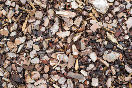Wood chips isolateの写真素材