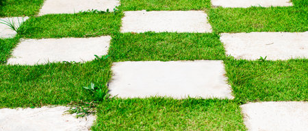 walk way in the parkの写真素材