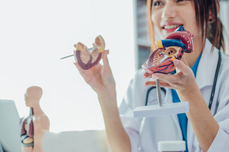 A female doctor is explaining heart disease to people and how to treat it.Doctor's office and new modern equipmentの写真素材