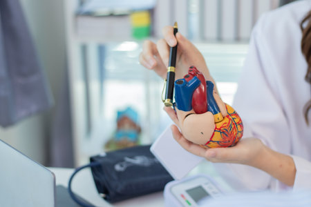 A young man with heart disease visits a female doctor for advice on heart disease treatment. The...