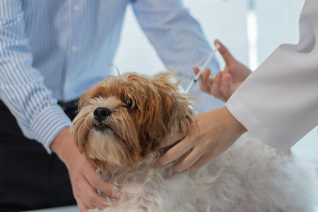 A young man brings his dog to a female veterinarian at an animal hospital to examine the dog's behavior and vaccinate it against rabies.の写真素材