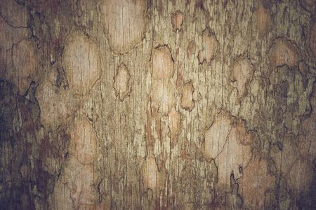 Texture of old brown wood. Suitable for making backgrounds, nature furniture or vintage articles.の写真素材
