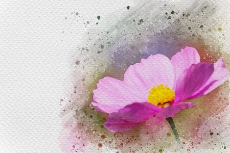 Pink flower in meadow. Digital watercolor painting effect. Copy space for text.の写真素材