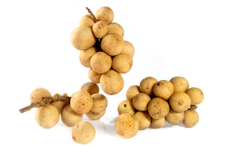 Wollongong sweet fruits isolated on white の写真素材