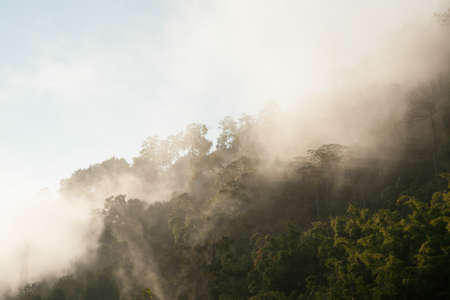 Landscape, sunny dawn in a fieldの写真素材