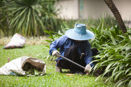 gardener 