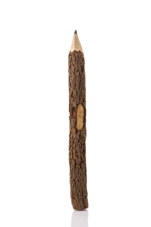 pencil stylized tree branch isolated on whiteの写真素材