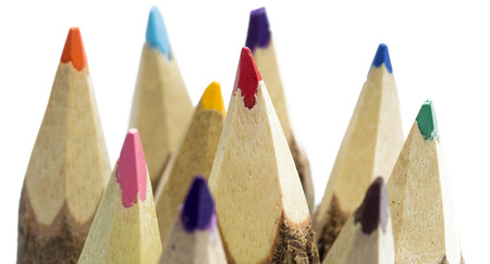 set of pencils stylized tree branch on whiteの写真素材