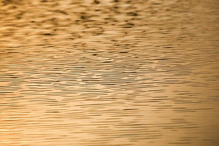 Gold water texture.の写真素材