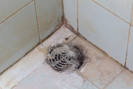 Black mold growing on shower tiles in bathroom.の写真素材
