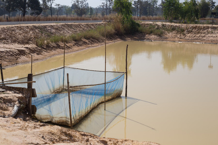 Fish pond in countryside.の写真素材