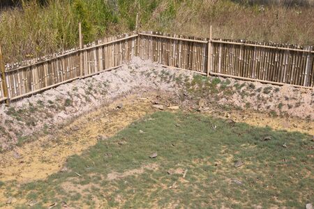 Dry creek in summer.の写真素材