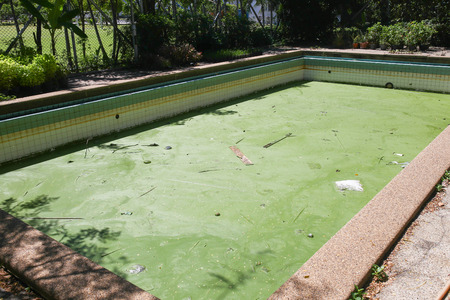 Dirty water in old swimming pool.の写真素材