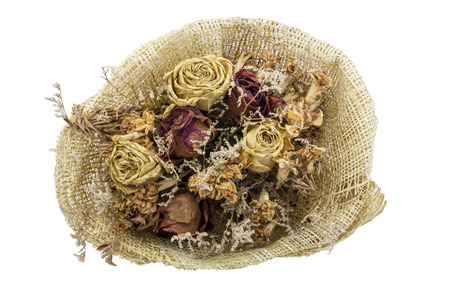 Dry roses isolated on white background - Heart concept.の写真素材
