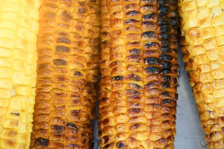 Burnt Corn - close up.の写真素材